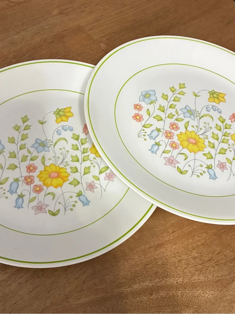 Wildflower. Corelle pair corelle